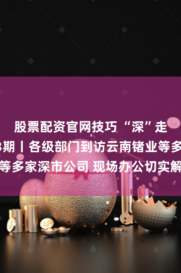 股票配资官网技巧 “深”走访提质量第3期丨各级部门到访云南锗业等多家深市公司 现场办公切实解决实际问题