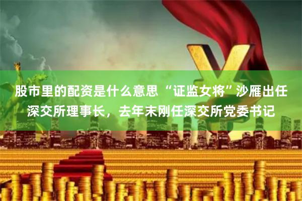股市里的配资是什么意思 “证监女将”沙雁出任深交所理事长，去年末刚任深交所党委书记