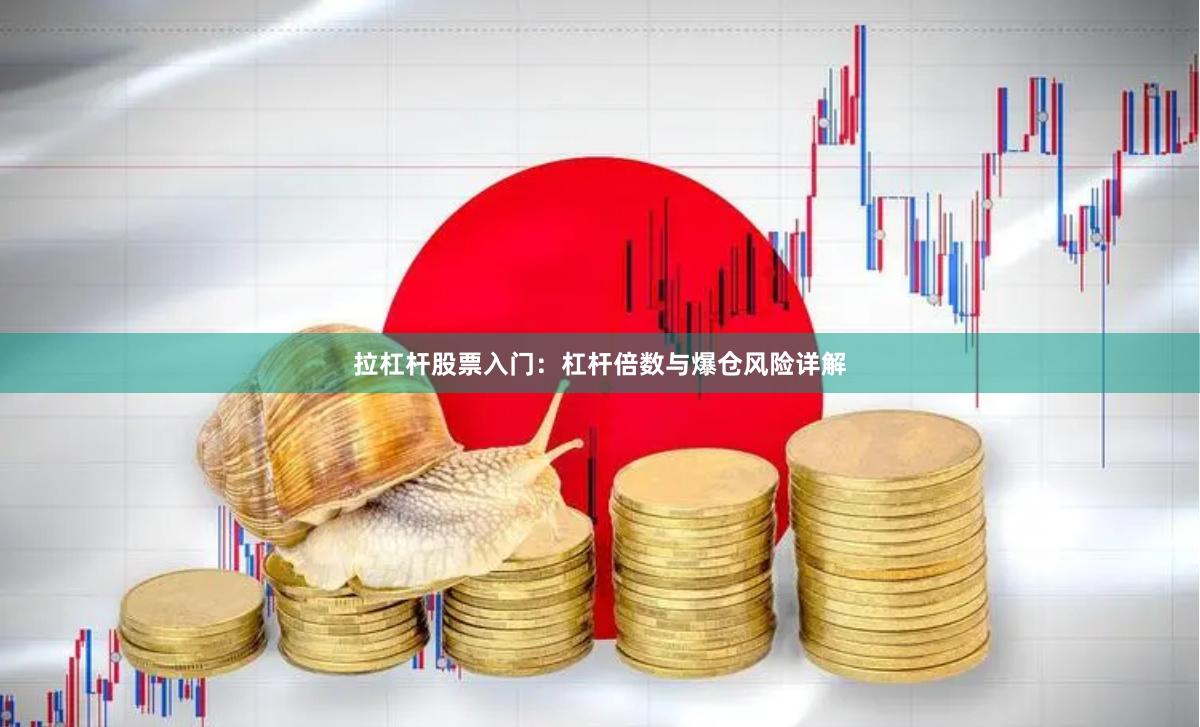 拉杠杆股票入门：杠杆倍数与爆仓风险详解