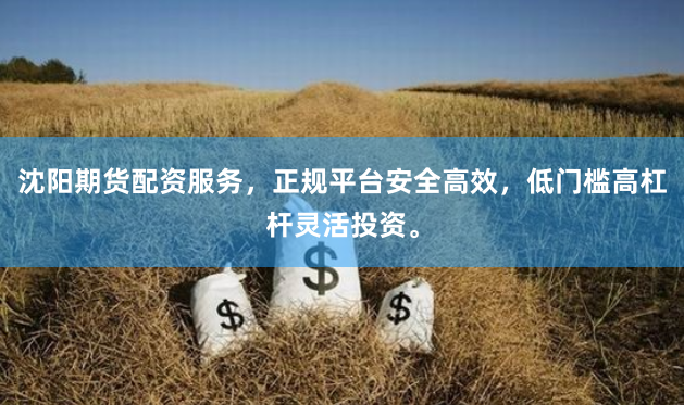 沈阳期货配资服务，正规平台安全高效，低门槛高杠杆灵活投资。